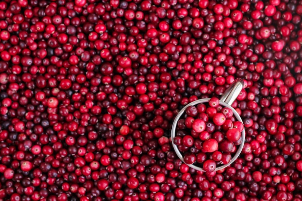 TikTok's Viral Cranberry Recips for Winter