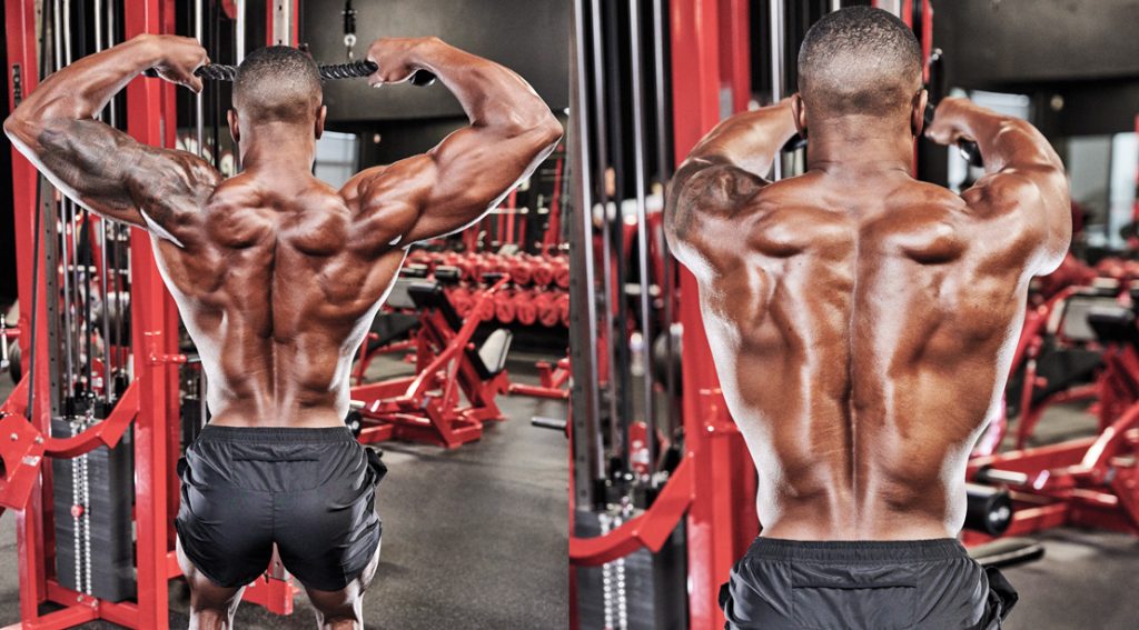 10 Best Face Pull Variations for Shoulder Health, Posture & Upper Back Strength 10 Best Face Pull Variations for Shoulder Health, Posture & Upper Back Strength