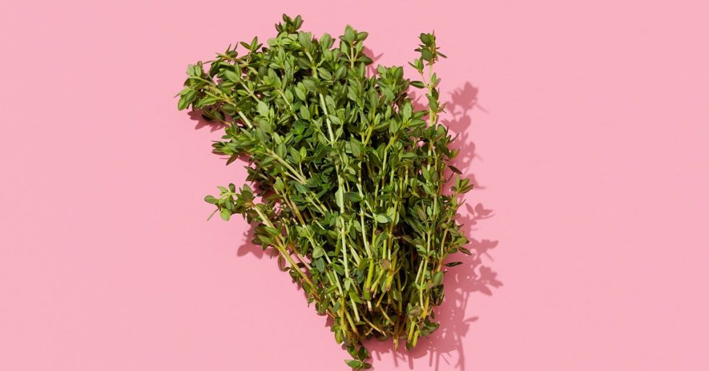 How to Get Rid of Mosquito Bites Overnight: Home Remedies