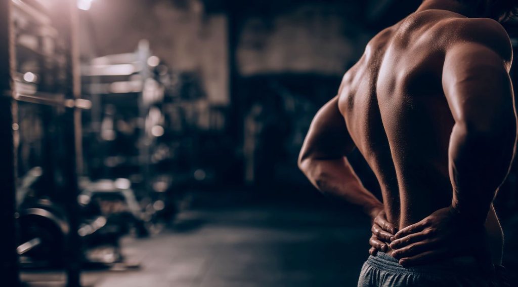 Lower Back Strength Training: Training Myths, Best Exercises, and How to Build a Bulletproof Spine