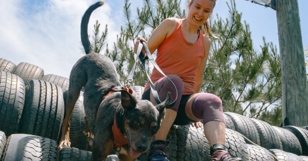 Why Race Alone When Your Dog Can Join, Too? Why Race Alone When Your Dog Can Join, Too?